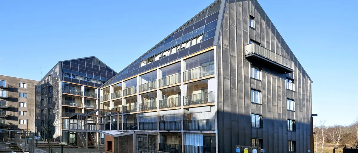 Forskningen om effektivitet i kallt klimat